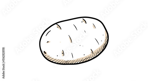 Vector Hand Drawn Potato Doodle – Outline Sketch Illustration for Food, Web, and Infographics