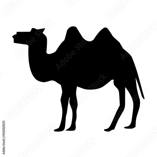 camel silhouette vector