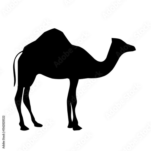 camel silhouette vector