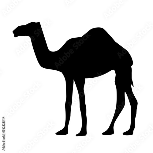 camel silhouette vector