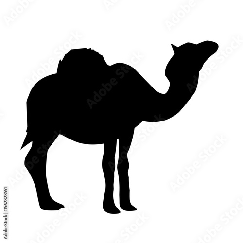 camel silhouette vector
