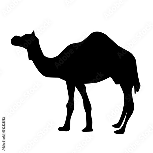camel silhouette vector