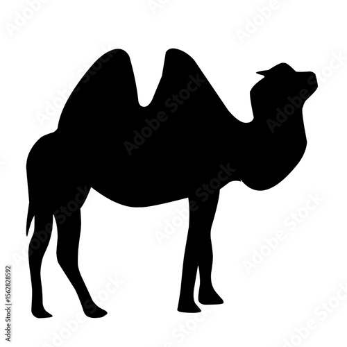 camel silhouette vector