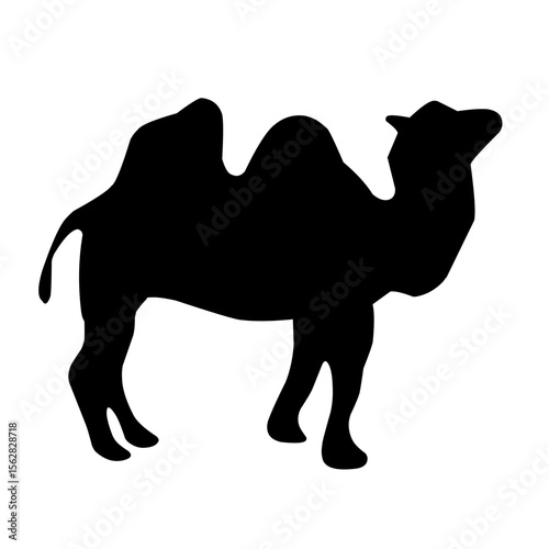 camel silhouette vector