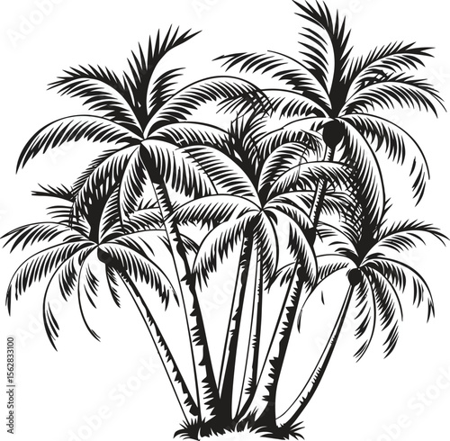 palm tree silhouettes