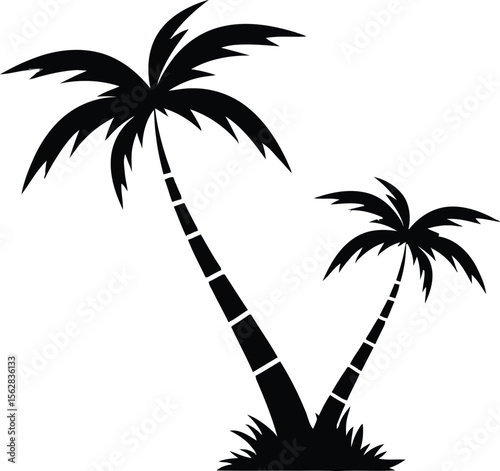 palm trees silhouette