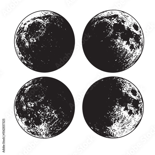 Set of four detailed moon illustrations with different phases for science projects astronomy concepts and decorative ornament