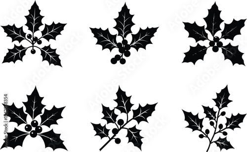 holly branch silhouette on white background
