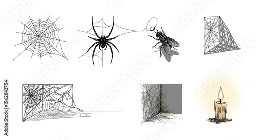 Illustration featuring spiderwebs, a spider catching a fly, and a lit candle in a spooky scene
