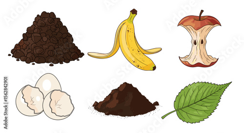 Illustration of compostable materials including food scraps and yard waste on a white background