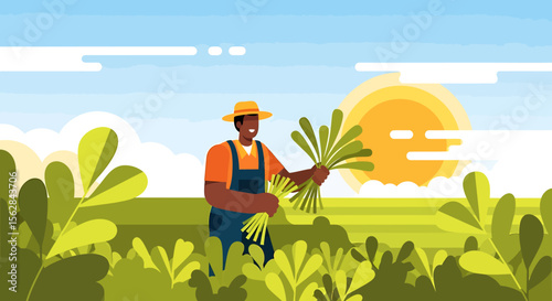 Happy Farmer Harvesting Fresh Greens in Sunny Field