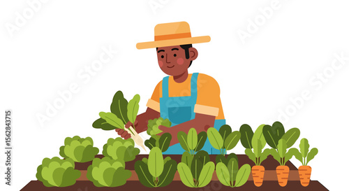 Happy Farmer Harvesting Fresh Vegetables in a Raised Garden Bed