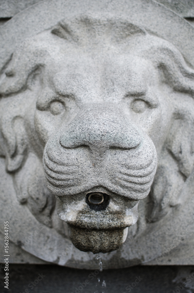 Obraz premium Stone lion head water fountain in Vilnius