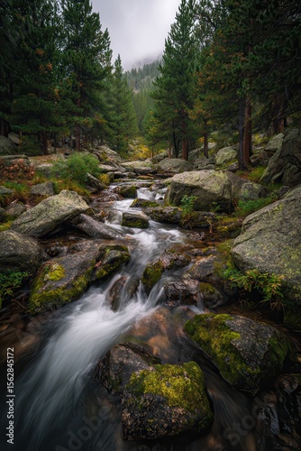 Serene mountain stream flows through mossy rocks and coniferous forest under a moody sky