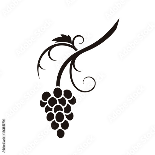 Vector grape vine silhouette icon for decorative wine branding minimal label design stylish vineyard packaging and artistic nature themed decor