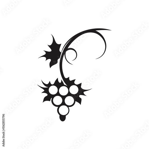 Stylish grapevine silhouette icon for wine branding elegant label designs natural elements winery packaging decor vector graphic minimal illustration