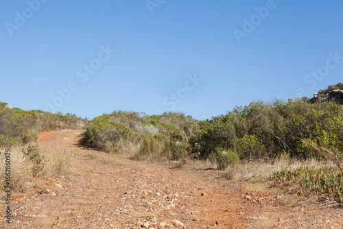 Winding dirt trail is climbing scrubland hillside in flat design, with scattered rocks and shrubs