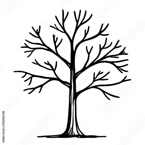 Winter Tree Line Art Illustration