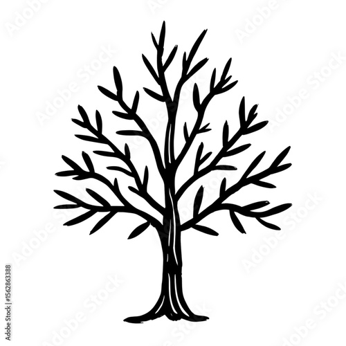 Bare Winter Tree Silhouette Vector