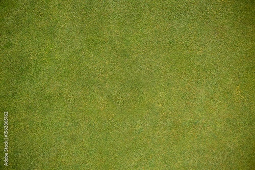 Close-up grass texture is appearing in flat design, with uniform green blades filling frame