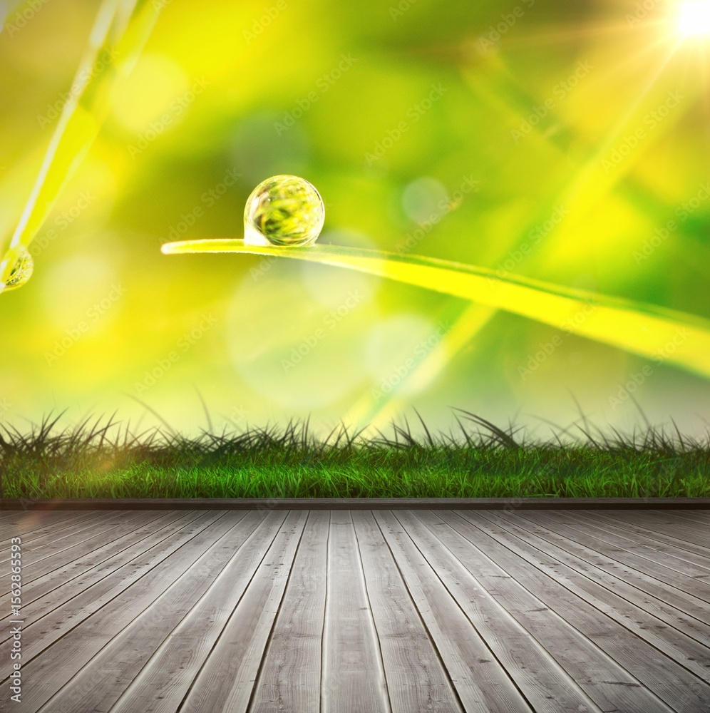 Fototapeta premium Wooden planks against dew on grass