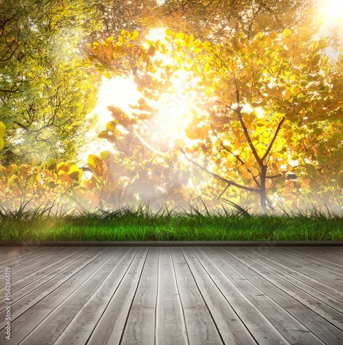 Forest over wooden planks