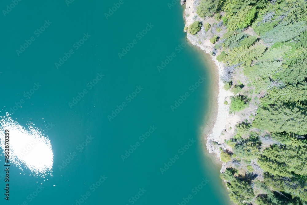 Fototapeta premium View of river by forest on sunny day