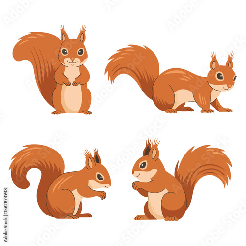 Set of Squirrel Icons Wild Mammal Forest Animals