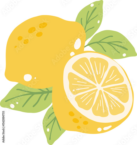 Fresh Lemon Slice and Wedge Illustration