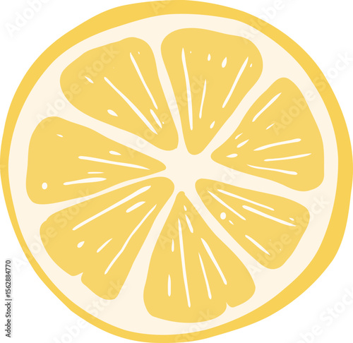 Fresh Lemon Slice and Wedge Illustration