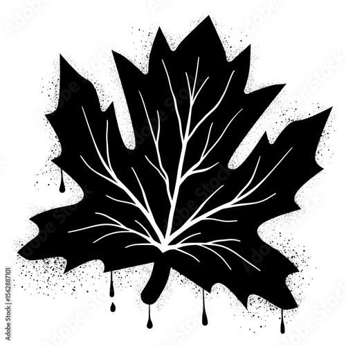 Maple leaf with black spray paint graffiti