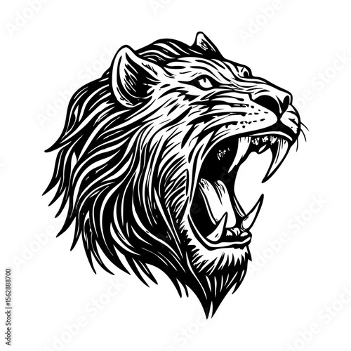 A vintage style illustration showing lion roar