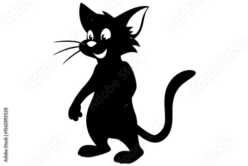 black and white cat