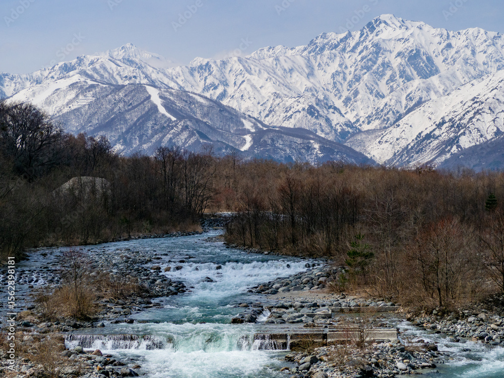 Fototapeta premium 青空と雪の北アルプス 長野県白馬村