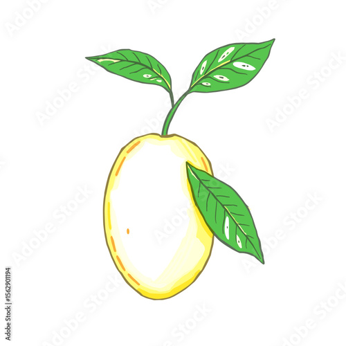 Kids' Hand-Drawn Fruits Clipart | Cute Doodle Fruit Set for Learning & Crafts