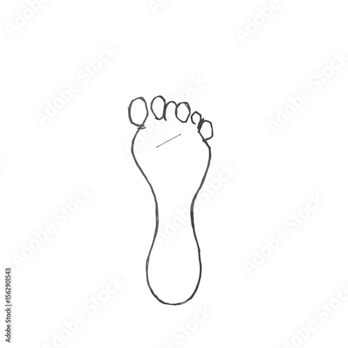 human foot print