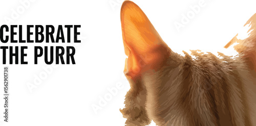 Close up of orange tabby cat head showing ears and back of the head