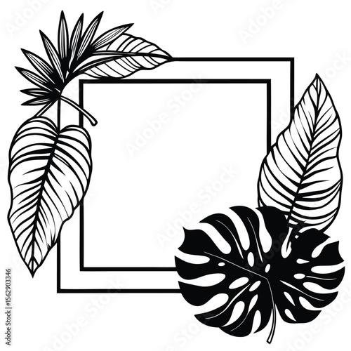 Vector floral   frame