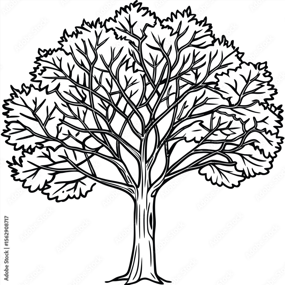 Obraz premium Fall tree outline coloring book page line art illustration 