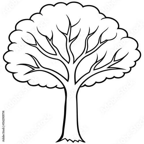 Fall tree outline coloring book page line art illustration 
