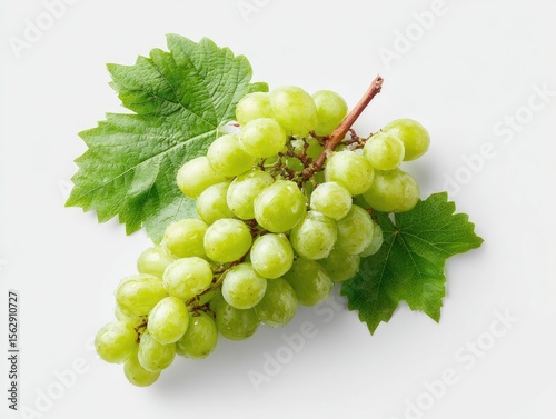 A cluster of light-green grapes with vibrant leaves, sits on a plain white background, showcasing its freshness and juicy appearance