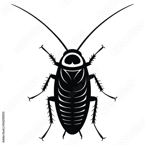 vector illustration of a black and white beetle