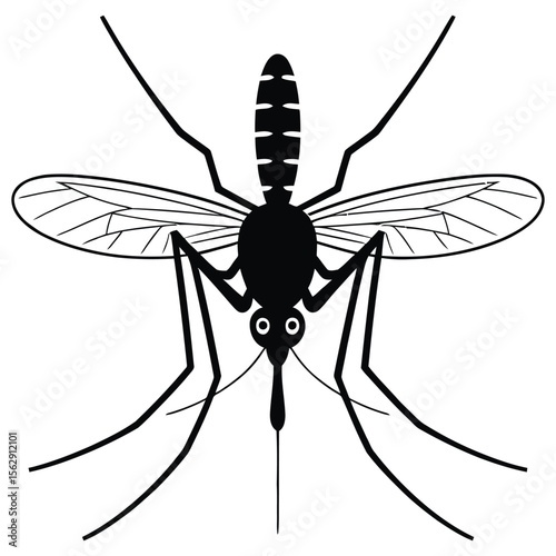 dragonfly vector illustration