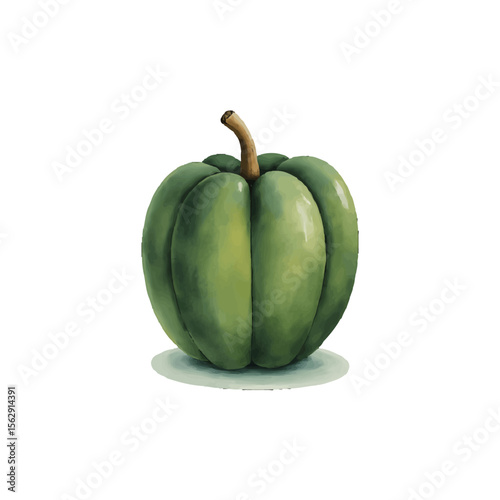 green pepper on a white background