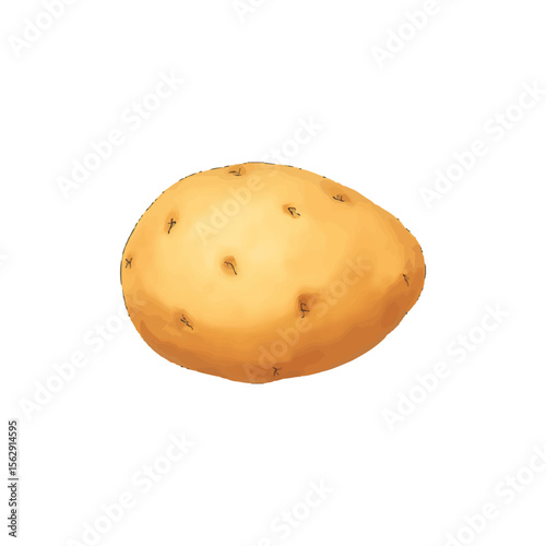 potatoes on a white background