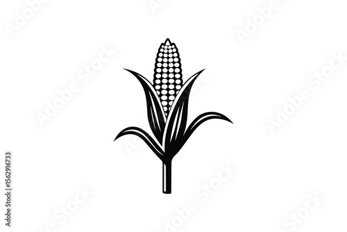 Corn Stalk Vector Illustration in Black and White Silhouette