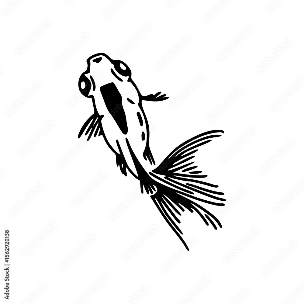Fototapeta premium elegant goldfish line art