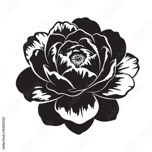 Elegant black and white floral illustration decorative ornament for design projects and creative concepts