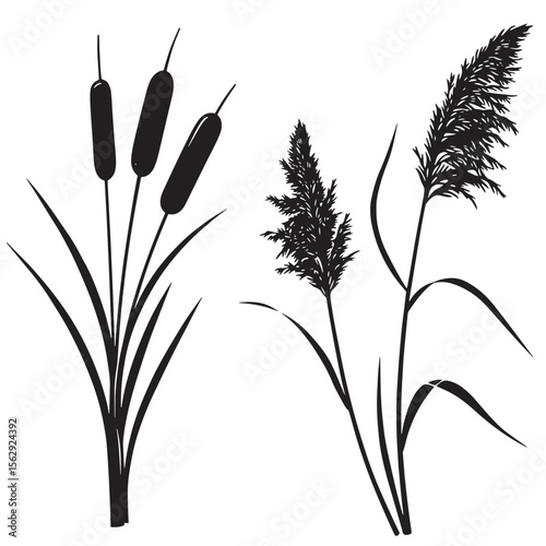 Elegant set of black and white silhouette ornamental plants and foliage elements for design