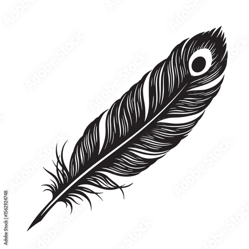 Elegant vector illustration of a peacock feather featuring detailed lines on white background set